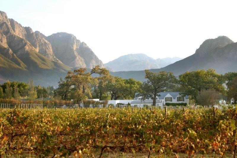 Auberge La Dauphine Guest House Franschhoek Eksteriør bilde