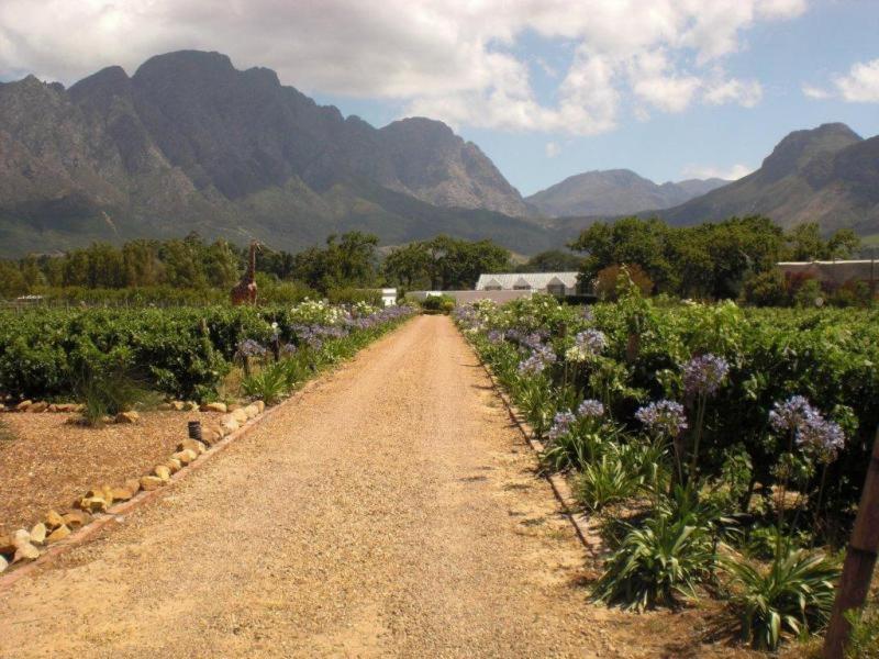 Auberge La Dauphine Guest House Franschhoek Eksteriør bilde