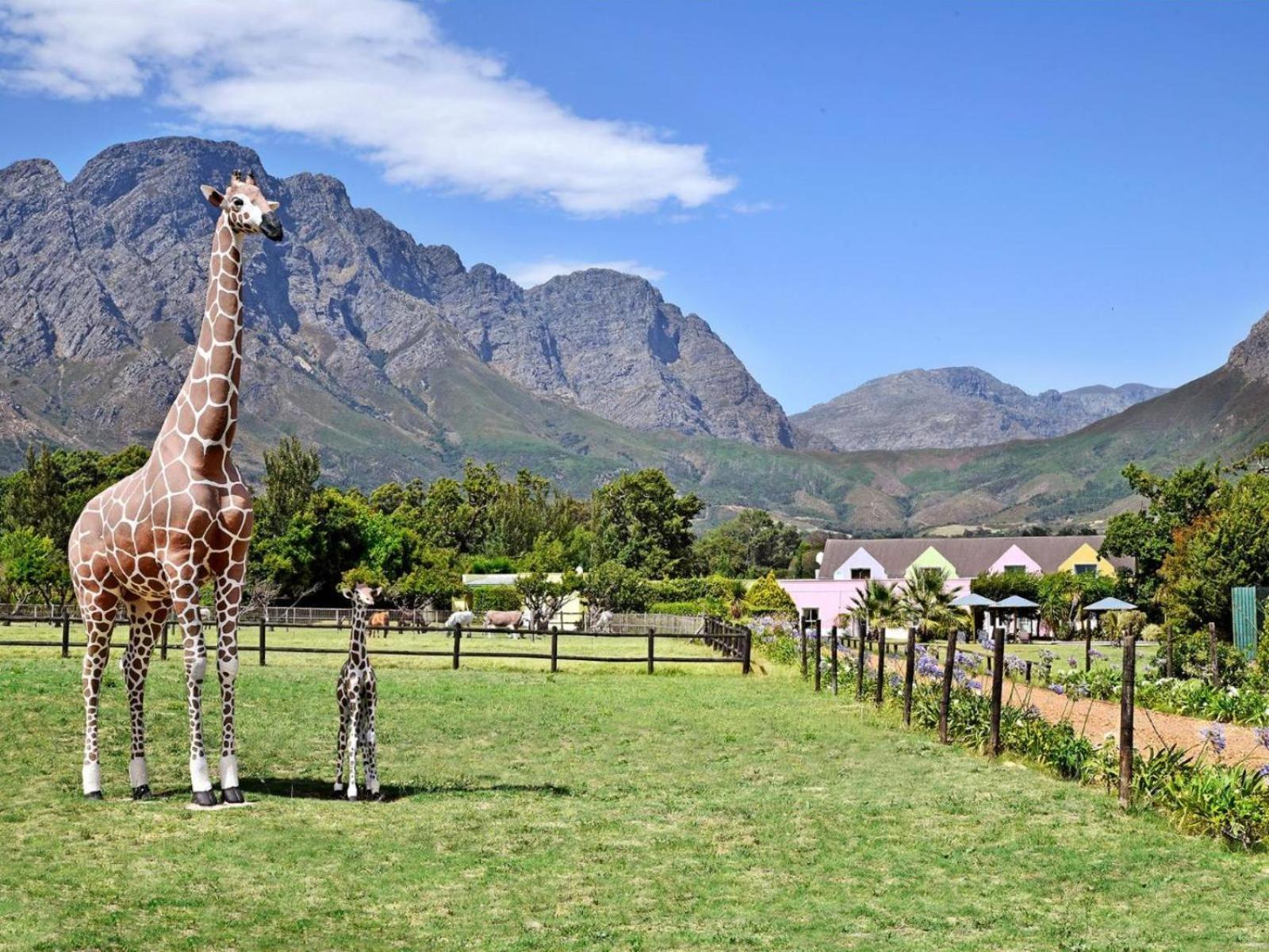 Auberge La Dauphine Guest House Franschhoek Eksteriør bilde
